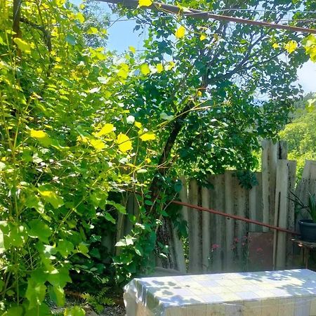 guest house gogias cixe Borjomi Exterior foto