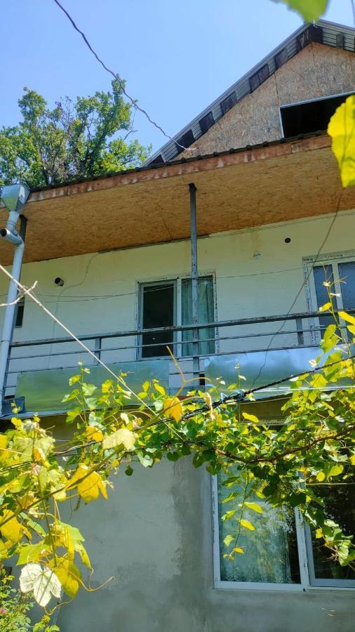 guest house gogias cixe Borjomi Exterior foto
