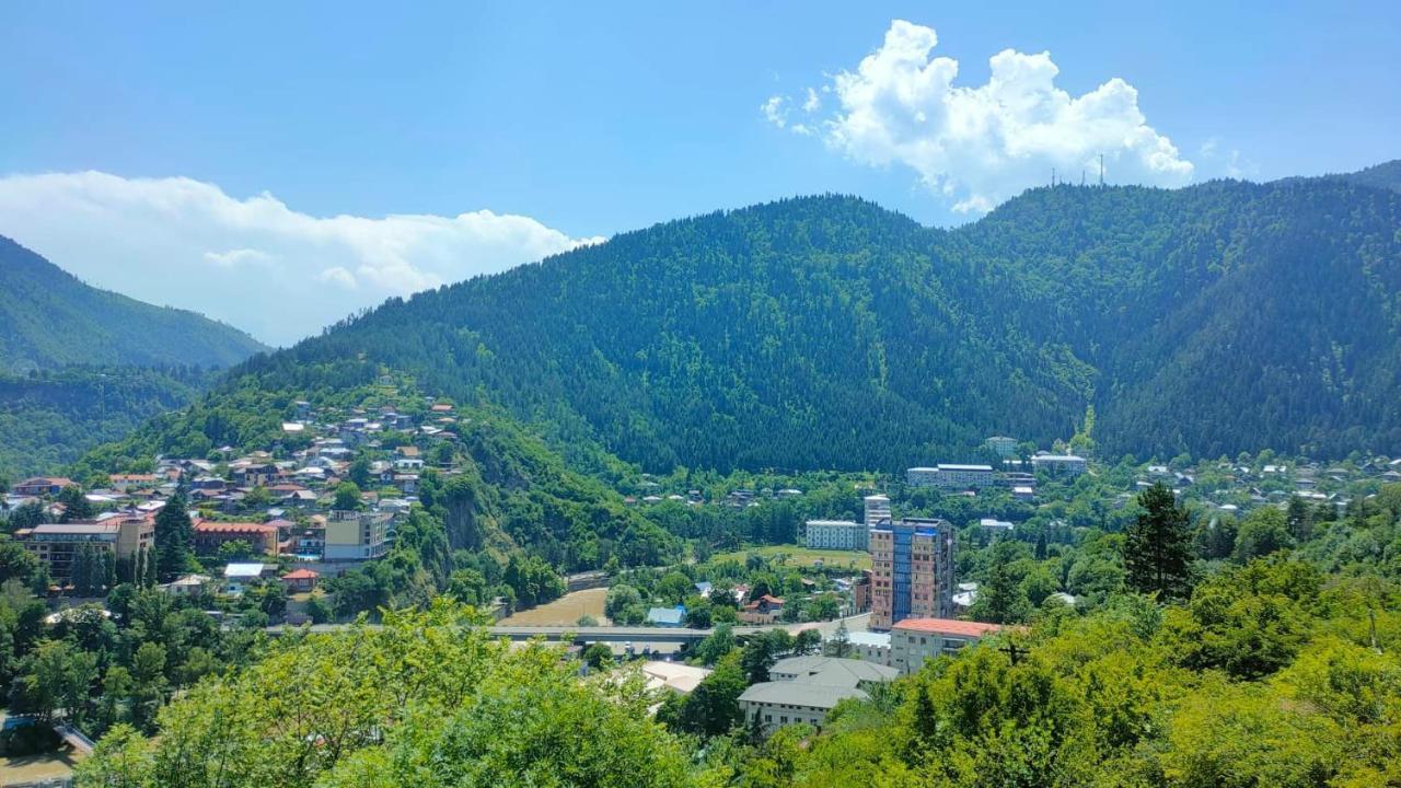 guest house gogias cixe Borjomi Exterior foto