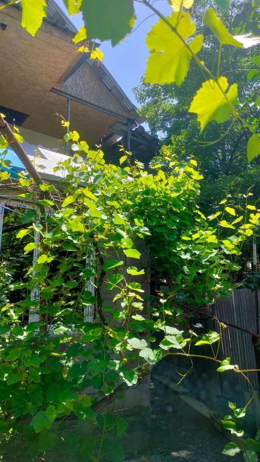guest house gogias cixe Borjomi Exterior foto