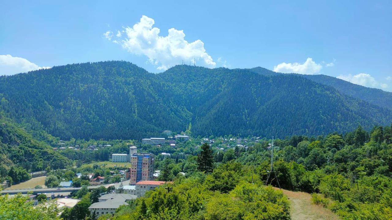guest house gogias cixe Borjomi Exterior foto