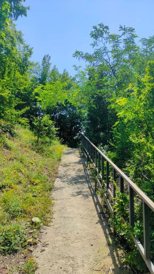 guest house gogias cixe Borjomi Exterior foto
